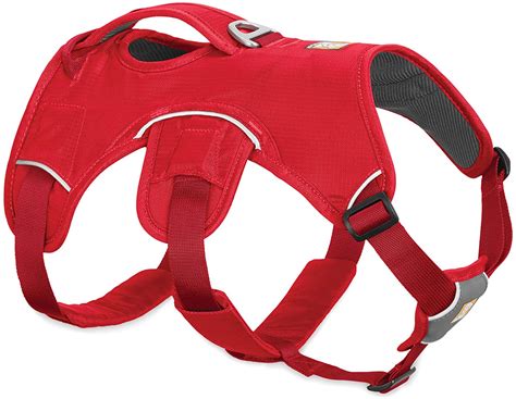 Best Escape Proof Dog Harness [2022] Top No Escape Dog Harnesses