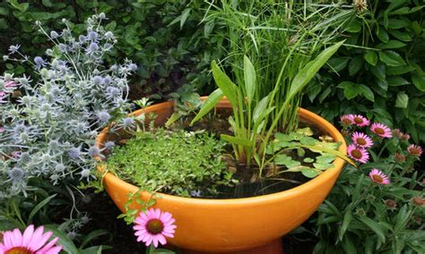 DIY Water Container Garden For A Stunning Patio