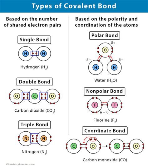 Covalent Bond: Definition, Types, and Examples | Teaching chemistry, Covalent bonding, Chemistry ...