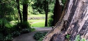 Renfrew Community Park | Family Fun Vancouver