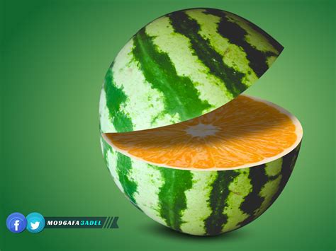 Orange Or Watermelon ? by Mostafa Adel on Dribbble