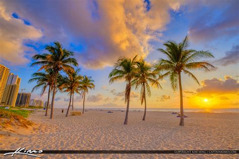 Coconut Tree Singer Island Sunrise Riviera Beach | HDR Photography by Captain Kimo