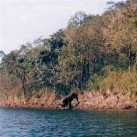 Map showing the Mudumalai Wildlife Sanctuary (study area) and its ...