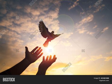 Hands Praying Free Image & Photo (Free Trial) | Bigstock