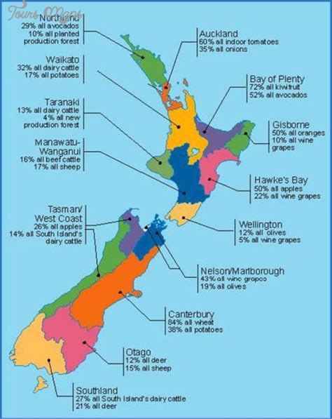 New Zealand Cities Map - ToursMaps.com