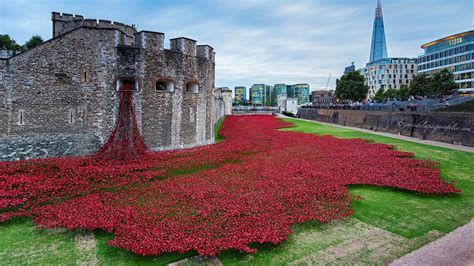 In photos: 2014's Tower of London poppies | Tower of london, Remembrance day pictures, Sea of ...