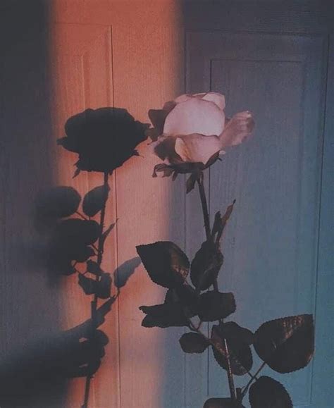 Self Worth | Aesthetic wallpapers, Pastel aesthetic, Aesthetic roses