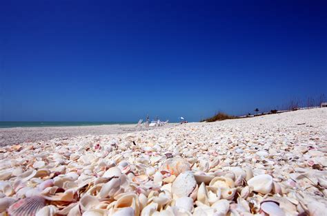 Photos | Island Inn Sanibel