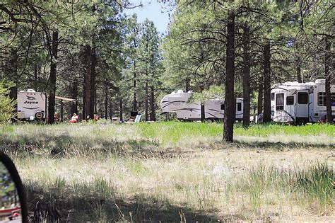 Northern Arizona campgrounds report unusually high occupancies ...