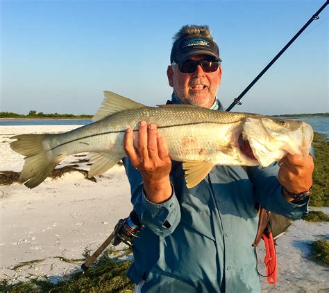 3 Tips To Catching Snook In The Summer (From The Beach)