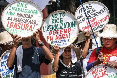 Farmers seek floor price as palay sells for just P7 per kilo