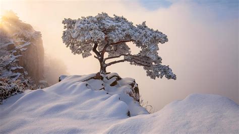 1920x1080 South Korea December Winter Laptop Full HD 1080P ,HD 4k ...