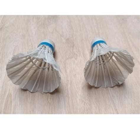 White and Blue Feather Badminton Shuttlecock at Rs 110/box in Meerut | ID: 2849508923912