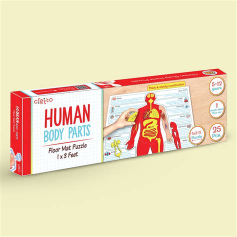 3D Human Body Parts Puzzle – Cretto