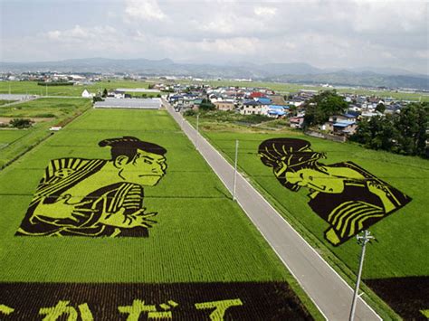 Rice Paddy Art: Don’t Miss Japan’s Otherworldly Art! | Goin’ Japanesque!