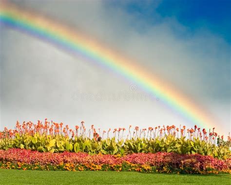 Rainbow and Flowers stock image. Image of color, botanic - 1427313