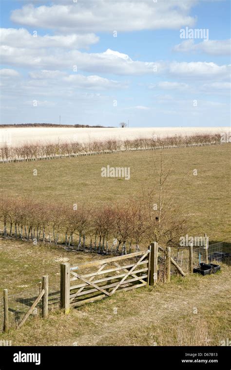 Cambridgeshire countryside hi-res stock photography and images - Alamy