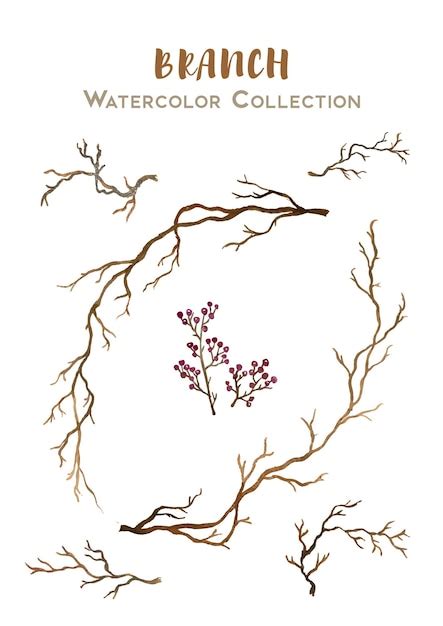 Premium Vector | Beautiful handdrawn watercolor collection of branch