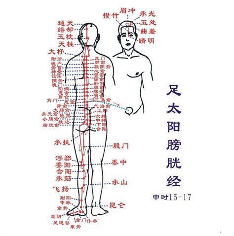 肾与膀胱经的经穴养生调理 – 中医锦囊