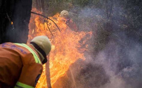 Knysna fires not caused by arson - expert