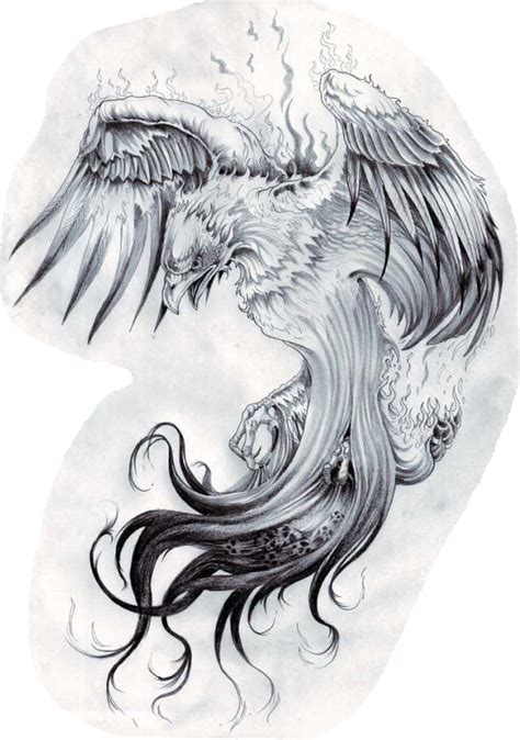 Phoenix Tattoo Sleeve, Phoenix Bird Tattoos, Nature Tattoo Sleeve ...