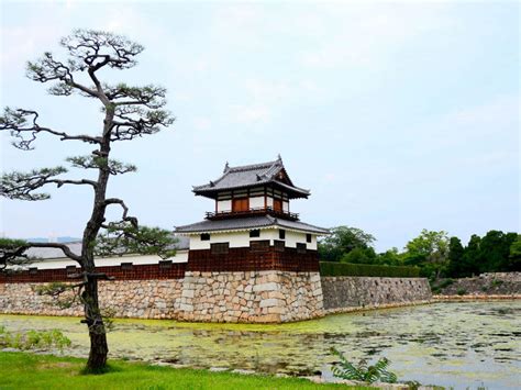 Hiroshima Castle: Get the Detail of Hiroshima Castle on Times of India Travel