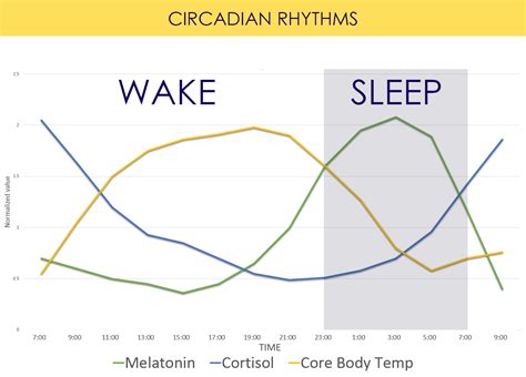 Circadian Rhythm: Lighting and Human Health