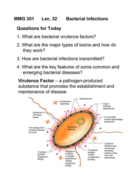 Bacterial Virulence Factors and Human