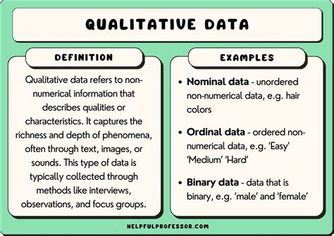 15 Qualitative Data Examples (2024)