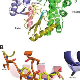 Structure of HCV-796, 5-cyclopropyl-2-(4-fluorophenyl)-... | Download Scientific Diagram