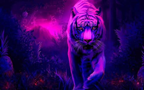 Cool White Tiger Backgrounds