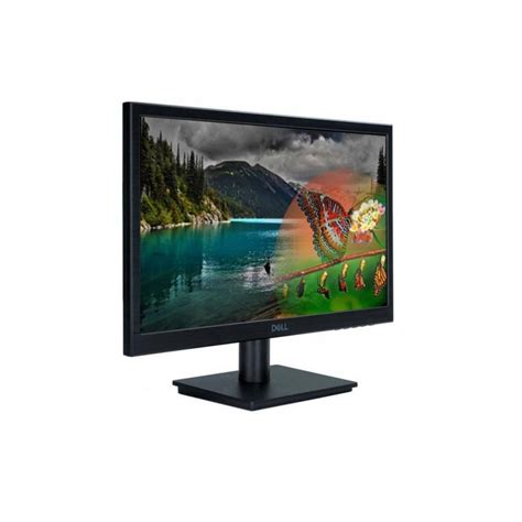 Dell 19 LCD Monitor | D1918H