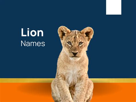 1450+ Lion Names For Horrifying Beast! (+Generator)