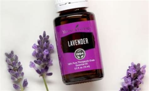 Young living lavender oil | Young living lavender oil, Young living lavender, Lavender oil