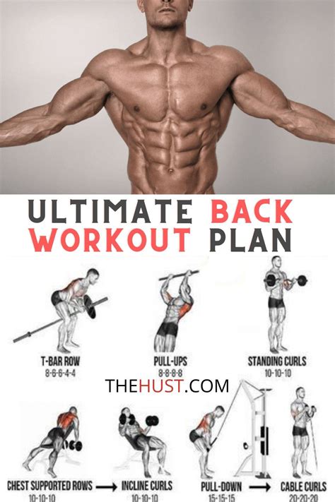 39 Best Best back exercises for strength and power for Beginner | Best ...