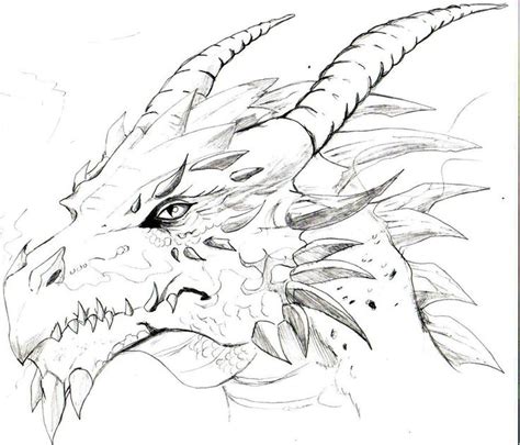 Dragons Head Drawing at GetDrawings | Free download