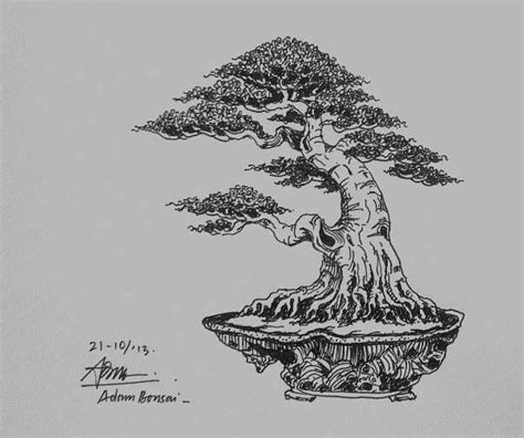 Sketsa Pohon Bonsai - 54+ Koleksi Gambar