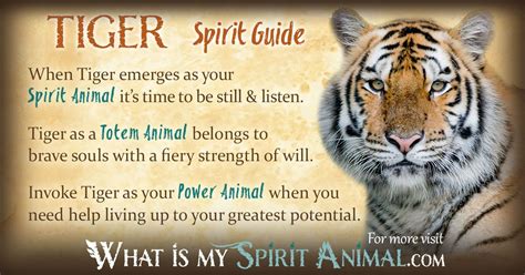 Tiger Symbolism & Meaning | Spirit, Totem & Power Animal | Tiger spirit animal, Animal totem ...