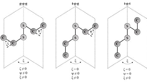 9 Schematic representation of the three conformations of disulfide ...