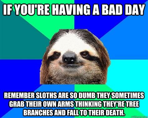 If you're having a bad day remember sloths are so dumb they sometimes ...