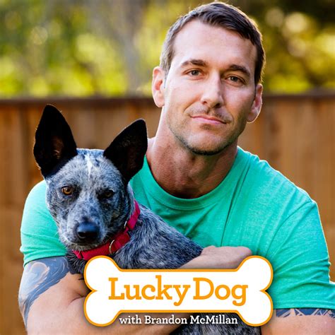 Lucky Dog with Brandon McMillan - The Emmys