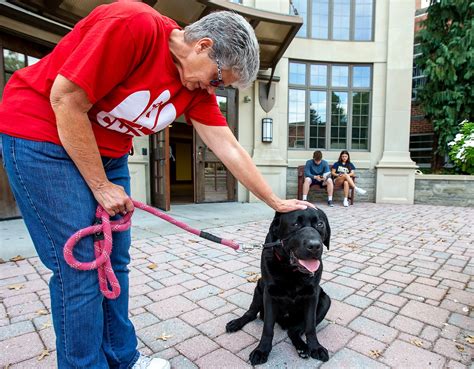 Blessing of the Animals: photos - pennlive.com