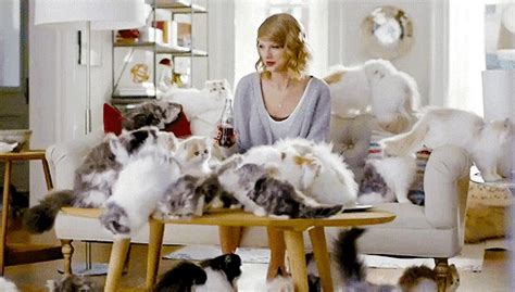 Embracing Your Inner Cat Lady Can Make You a Better Girlfriend | Glamour