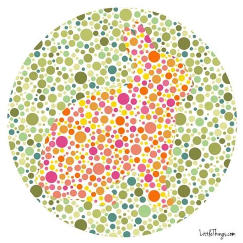 animal color blind test littlethings Color Blindness Test, Test For ...