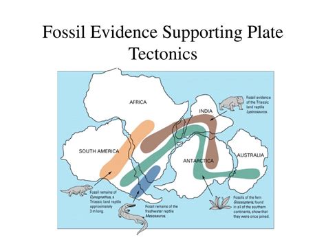 PPT - Plate Tectonics PowerPoint Presentation, free download - ID:744823