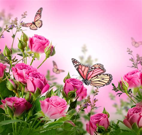 Free Wallpaper Butterflies and Flowers - WallpaperSafari