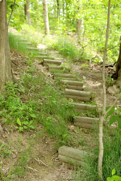 Wooden Steps Up Hill Free Stock Photo - Public Domain Pictures