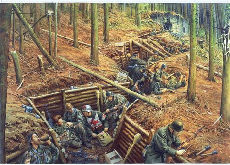 Siegfried Line - This scene shows a typical Hurtgenwald defense line such as that occupied by ...