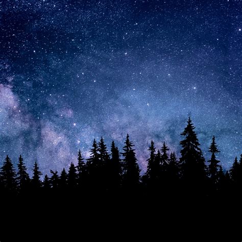 Night Wallpaper 4K, Starry sky, Forest, Silhouette