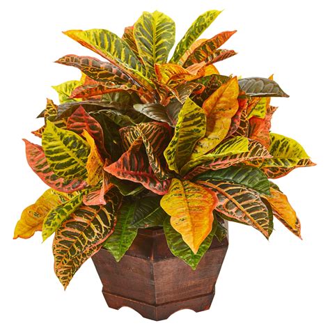 Nearly Natural 19in. Garden Croton Artificial Plant in Decorative ...